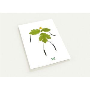Cartes