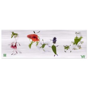 Frise Kodmas 2 sur tableau en aluminium brossé 20x60 cm / 8x24″