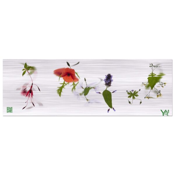 Frise Kodmas 2 sur tableau en aluminium brossé 20x60 cm / 8x24″