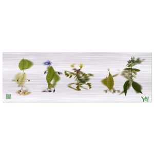 Frise Kodmas 1 sur tableau en aluminium brossé 20x60 cm / 8x24″
