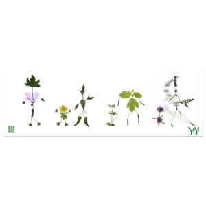 Frise Kodamas 3: Tableau en aluminium blanc 20x60 cm / 8x24″