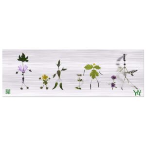 Frise Kodmas 3 sur tableau en aluminium brossé 20x60 cm / 8x24″