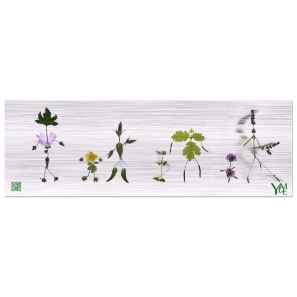 Frise Kodmas 3 sur tableau en aluminium brossé 20x60 cm / 8x24″