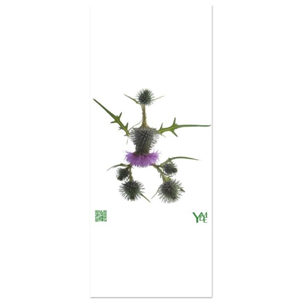 dc799010-2051-4a2c-894f-77d0cd1c20bf